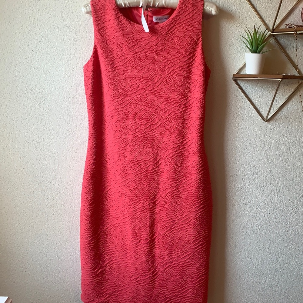 Calvin Klein | Pink Dress Sz 4